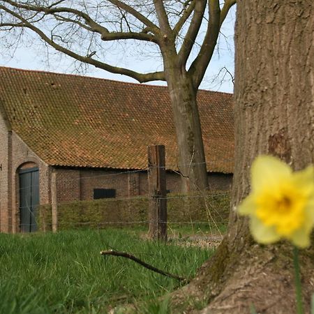 Erfgoedlogies D'Ouffenhoff Baarlo (Limburg) Phòng bức ảnh