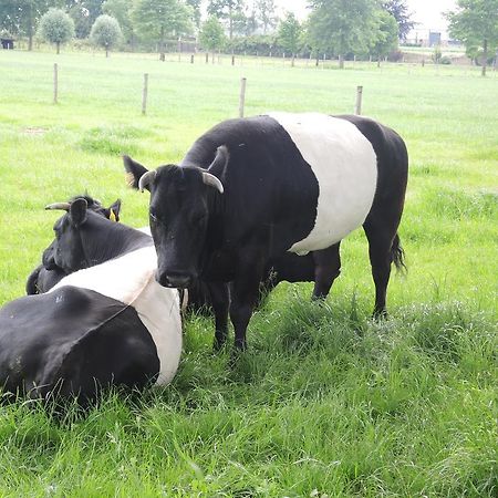 Erfgoedlogies D'Ouffenhoff Baarlo (Limburg) Ngoại thất bức ảnh