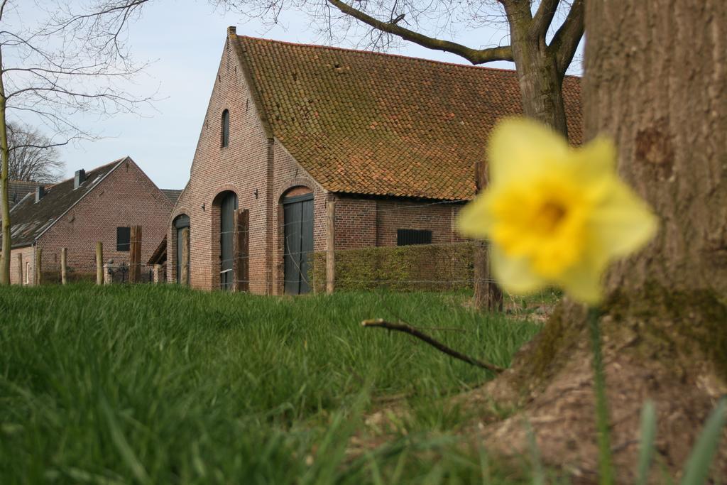 Erfgoedlogies D'Ouffenhoff Baarlo (Limburg) Phòng bức ảnh