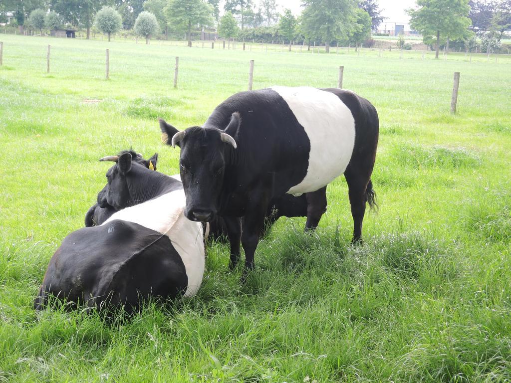Erfgoedlogies D'Ouffenhoff Baarlo (Limburg) Ngoại thất bức ảnh
